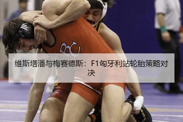 维斯塔潘与梅赛德斯：F1匈牙利站轮胎策略对决