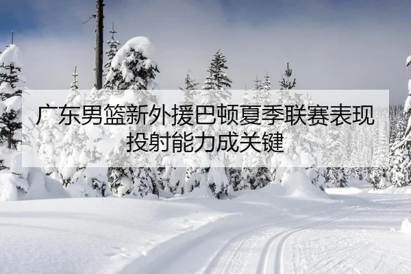 广东男篮新外援巴顿夏季联赛表现投射能力成关键