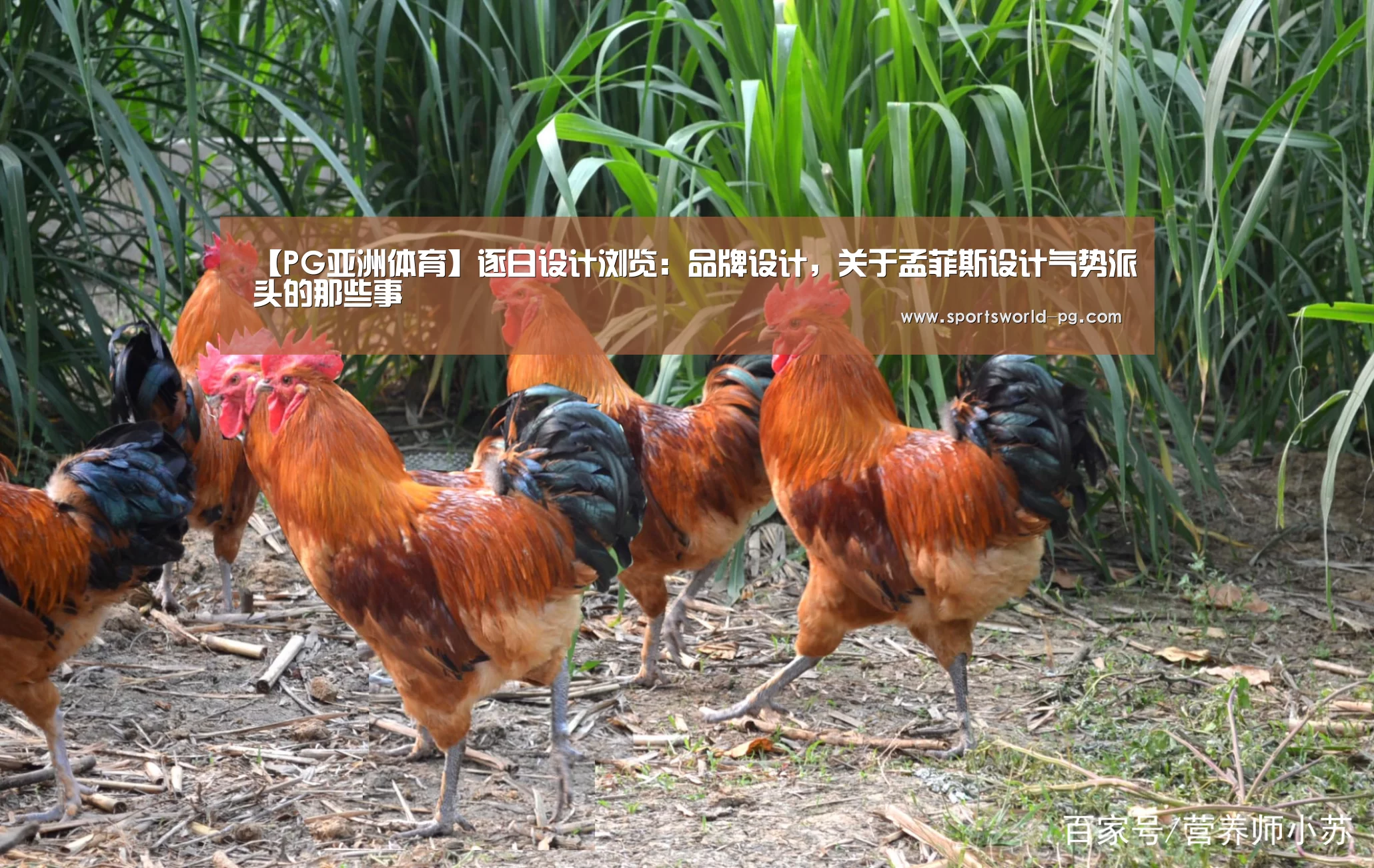【PG亚洲体育】逐日设计浏览:品牌设计,关于孟菲斯设计气势派头的那些事(图2) PG游艺